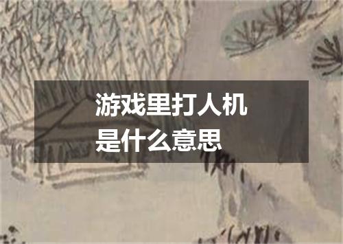 游戏里打人机是什么意思