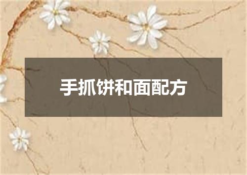 手抓饼和面配方