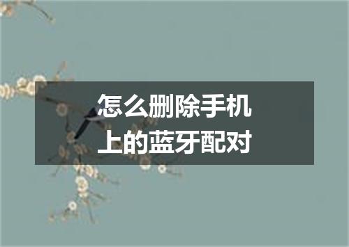 怎么删除手机上的蓝牙配对