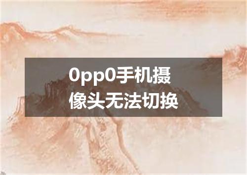 0pp0手机摄像头无法切换