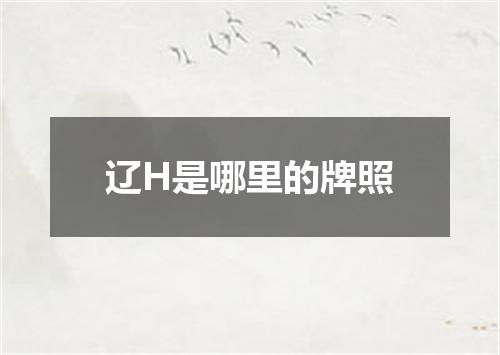 辽H是哪里的牌照