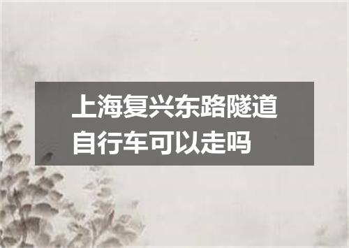 上海复兴东路隧道自行车可以走吗