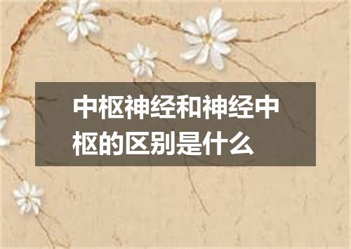 中枢神经和神经中枢的区别是什么