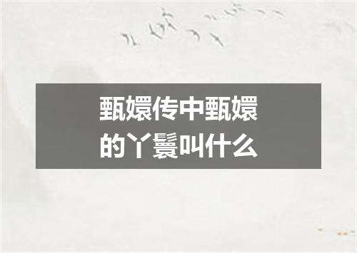 甄嬛传中甄嬛的丫鬟叫什么