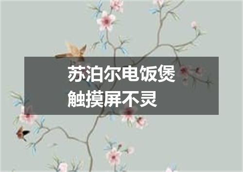 苏泊尔电饭煲触摸屏不灵