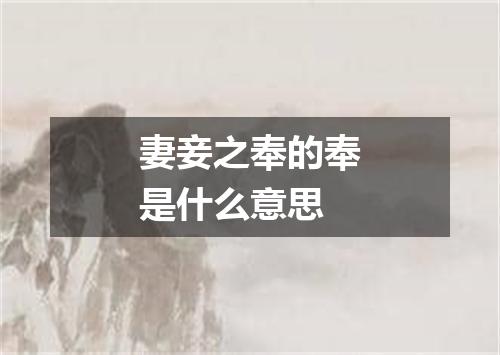 妻妾之奉的奉是什么意思