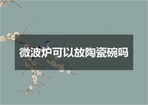 微波炉可以放陶瓷碗吗