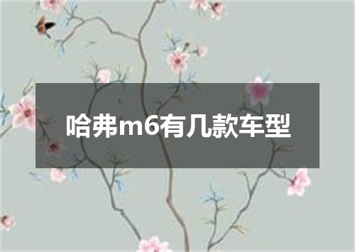 哈弗m6有几款车型