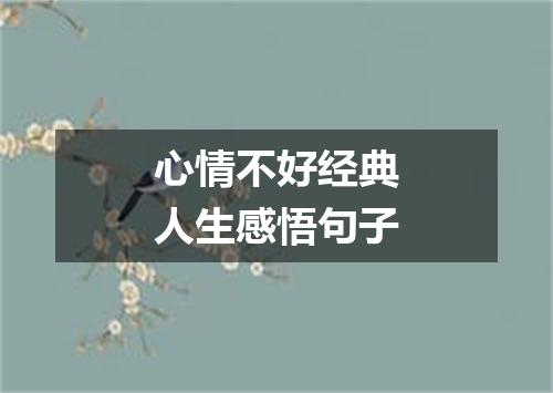 心情不好经典人生感悟句子