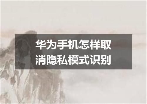 华为手机怎样取消隐私模式识别