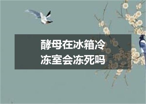 酵母在冰箱冷冻室会冻死吗