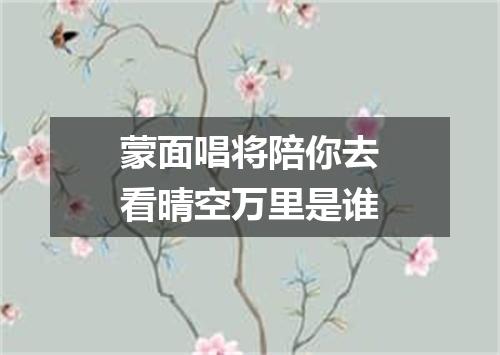 蒙面唱将陪你去看晴空万里是谁