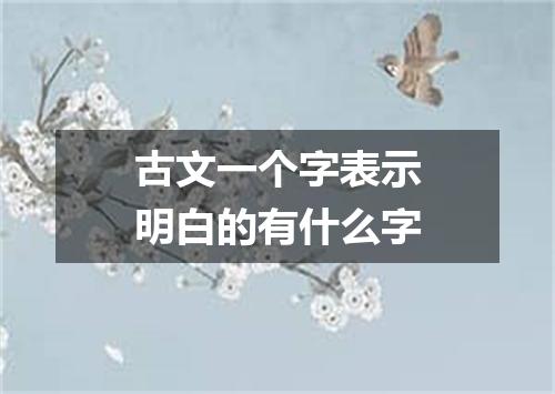 古文一个字表示明白的有什么字