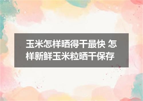 玉米怎样晒得干最快 怎样新鲜玉米粒晒干保存