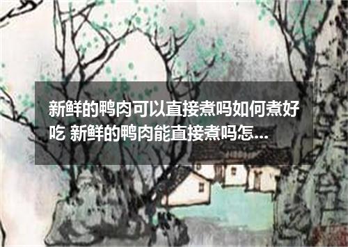 新鲜的鸭肉可以直接煮吗如何煮好吃 新鲜的鸭肉能直接煮吗怎么做