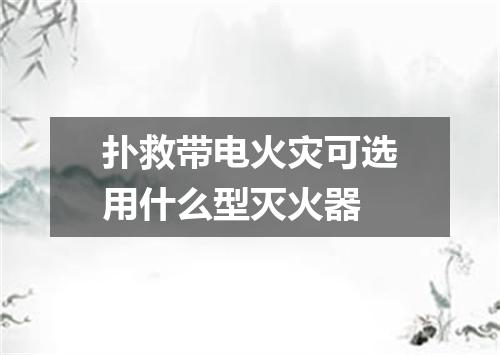 扑救带电火灾可选用什么型灭火器