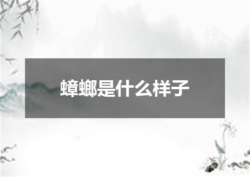 蟑螂是什么样子