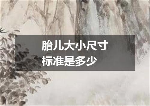 胎儿大小尺寸标准是多少