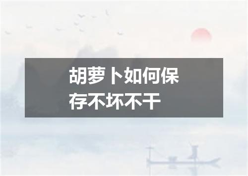 胡萝卜如何保存不坏不干