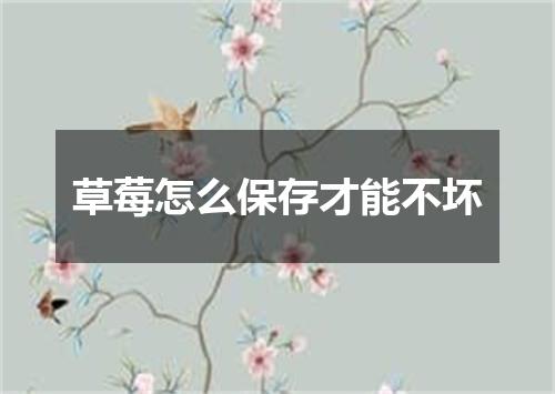 草莓怎么保存才能不坏