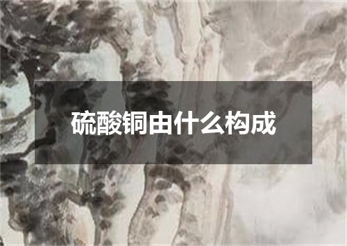 硫酸铜由什么构成