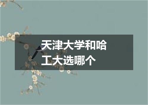 天津大学和哈工大选哪个