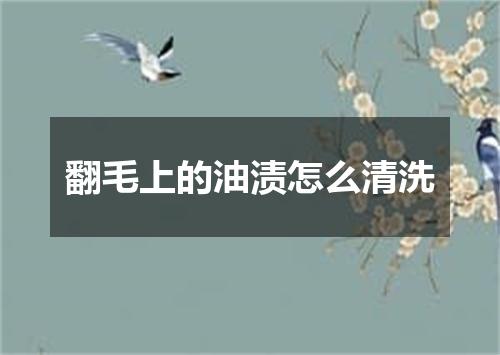 翻毛上的油渍怎么清洗