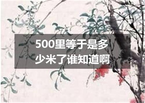 500里等于是多少米了谁知道啊