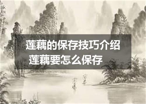 莲藕的保存技巧介绍 莲藕要怎么保存