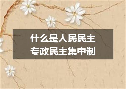 什么是人民民主专政民主集中制
