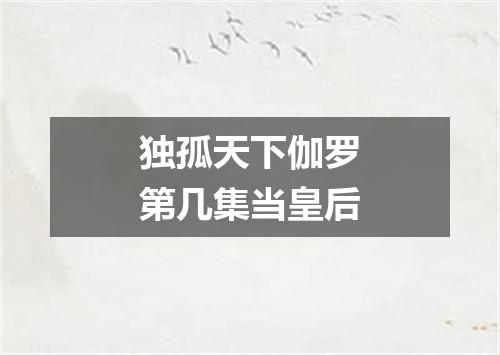 独孤天下伽罗第几集当皇后