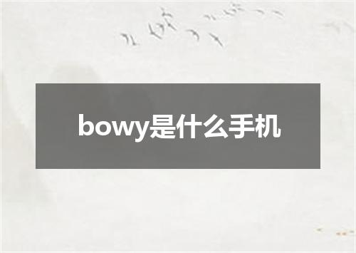 bowy是什么手机