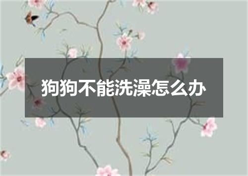 狗狗不能洗澡怎么办