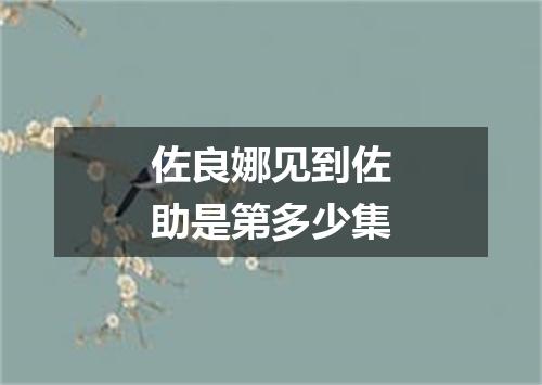 佐良娜见到佐助是第多少集