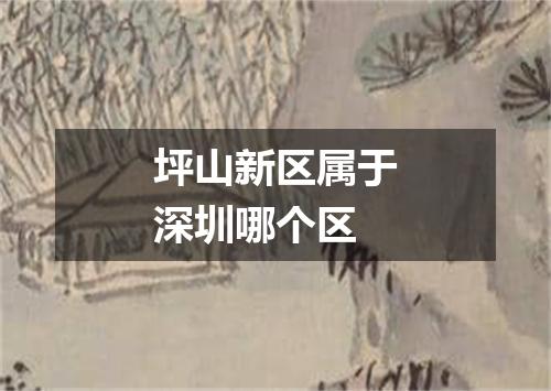 坪山新区属于深圳哪个区