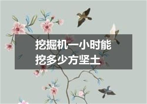 挖掘机一小时能挖多少方坚土