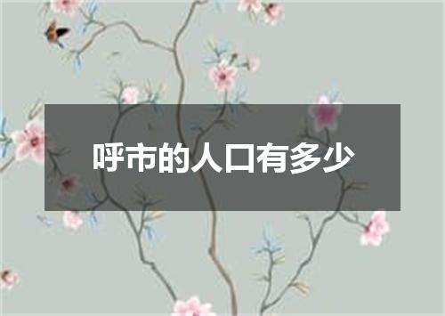呼市的人口有多少