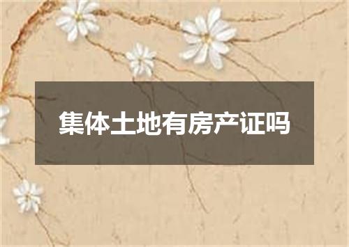 集体土地有房产证吗