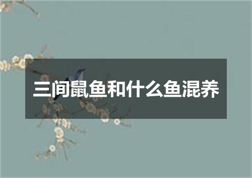 三间鼠鱼和什么鱼混养