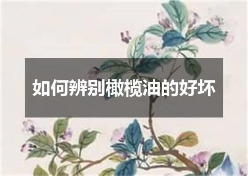 如何辨别橄榄油的好坏
