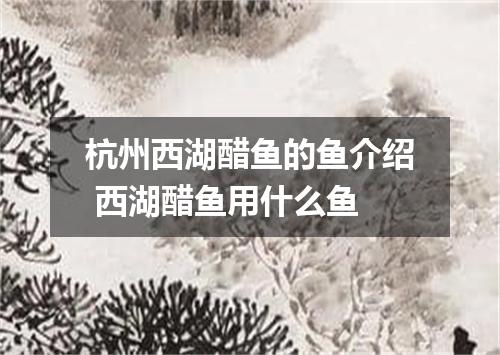 杭州西湖醋鱼的鱼介绍 西湖醋鱼用什么鱼