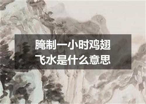 腌制一小时鸡翅飞水是什么意思