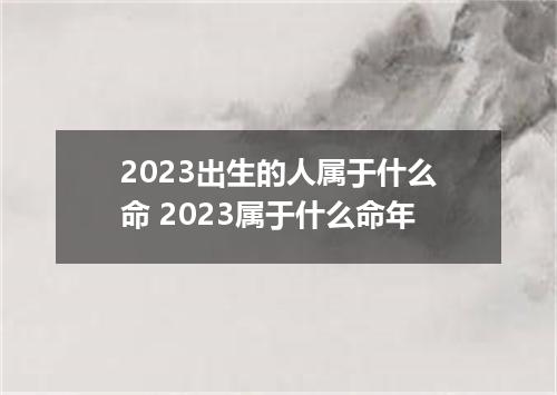 2023出生的人属于什么命 2023属于什么命年