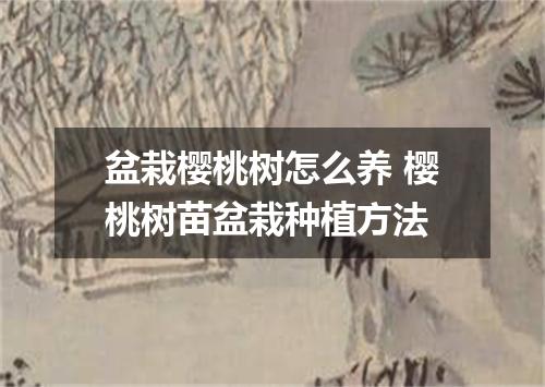 盆栽樱桃树怎么养 樱桃树苗盆栽种植方法