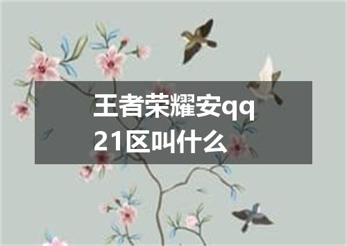 王者荣耀安qq21区叫什么