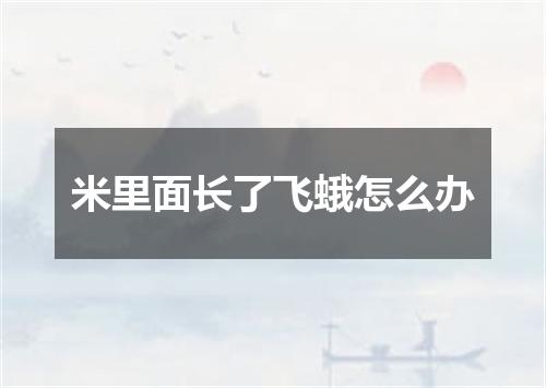 米里面长了飞蛾怎么办