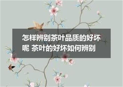 怎样辨别茶叶品质的好坏呢 茶叶的好坏如何辨别