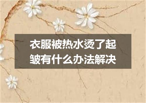 衣服被热水烫了起皱有什么办法解决