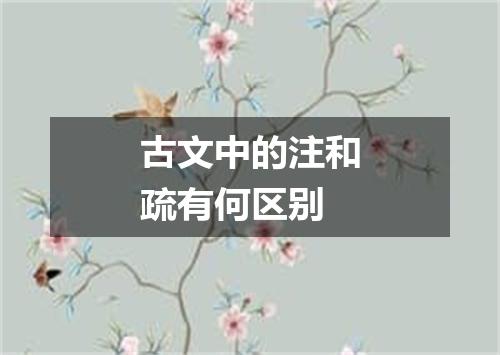 古文中的注和疏有何区别