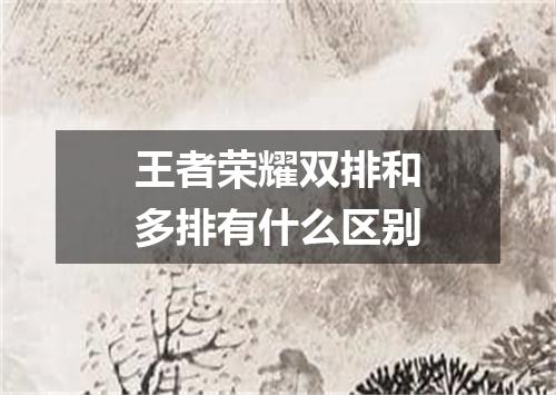 王者荣耀双排和多排有什么区别